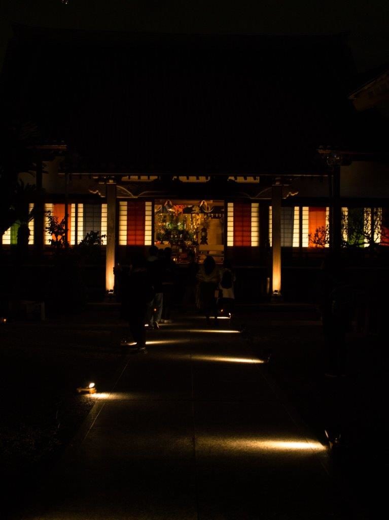 Hakata light-up wandeling